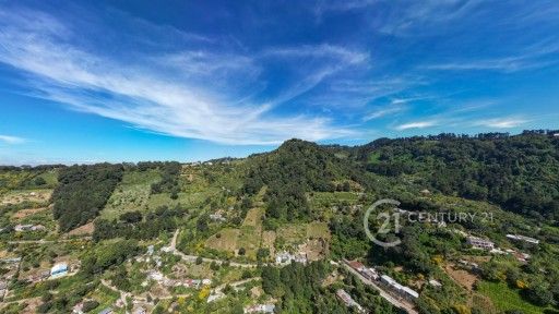 WhatsApp Image 2025-11-10 at 12.14.36 PM