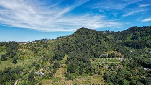 WhatsApp Image 2025-11-10 at 12.14.36 PM (1)