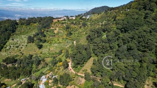 WhatsApp Image 2025-11-10 at 12.14.36 PM (2)