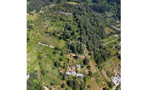 WhatsApp Image 2025-11-10 at 12.14.37 PM