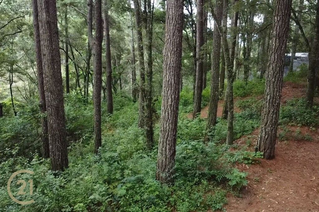 Terreno en Venta en Condominio Labor de Castilla 1 – San Lucas Sacatepéquez