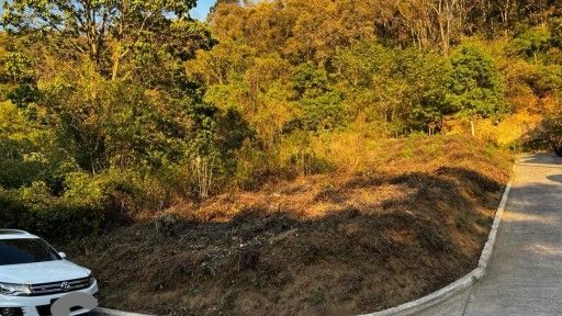 PHOTO-2025-11-12-09-29-53