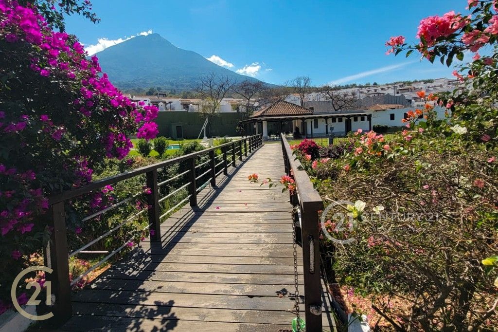 WhatsApp Image 2026-01-29 at 1.41.43 PM