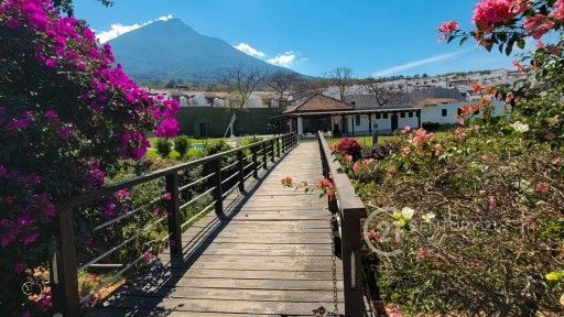 WhatsApp Image 2026-01-29 at 1.41.43 PM