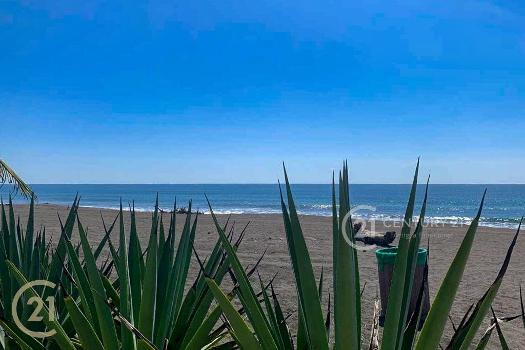 WhatsApp Image 2025-11-21 at 1.31.55 PM