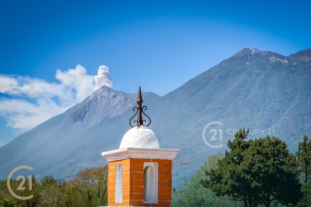 PHOTO-2026-01-31-14-39-06 (4)