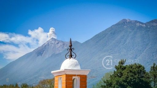 PHOTO-2026-01-31-14-39-06 (4)