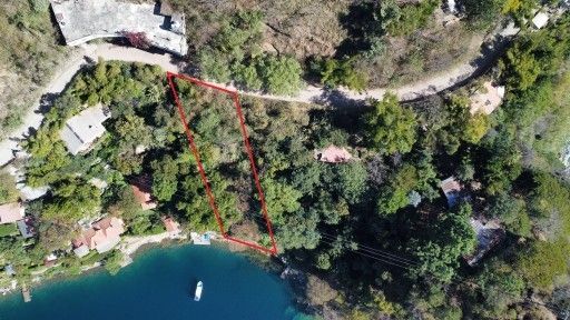 LSM Land with borders shown 1-0