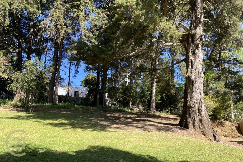 Land for Sale – Tierra Linda, Zorzoya Area