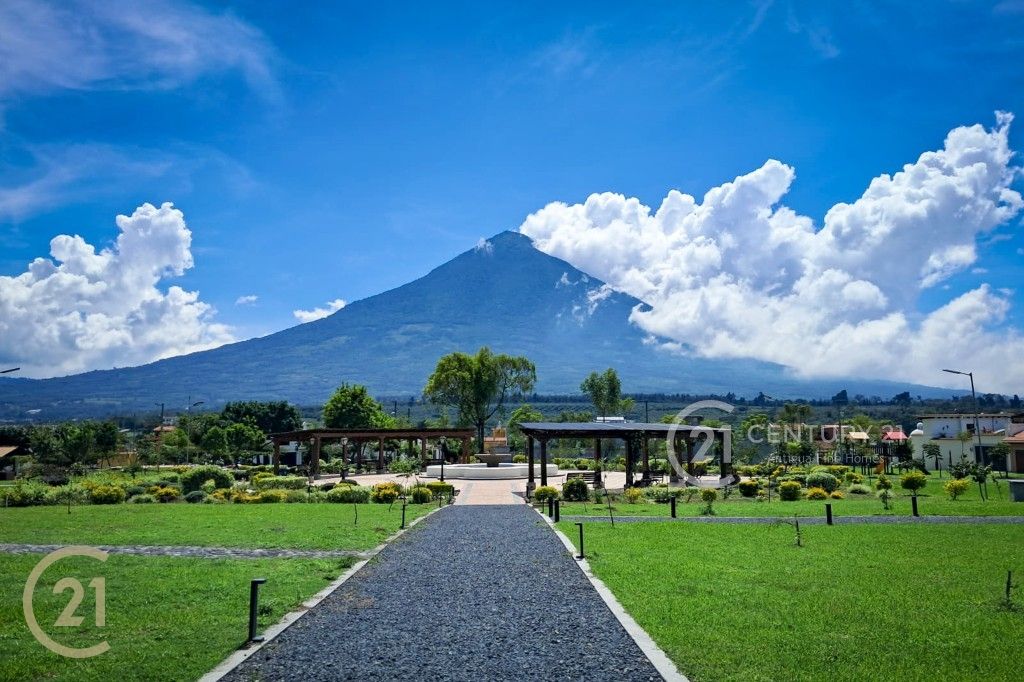 WhatsApp Image 2026-02-14 at 11.18.34 AM