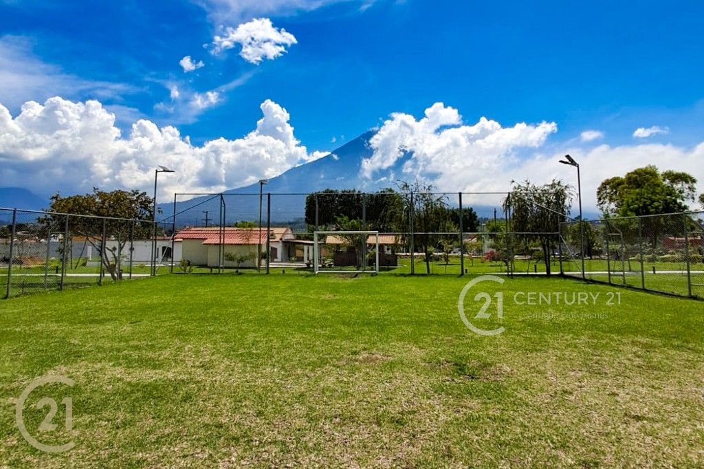 WhatsApp Image 2026-02-14 at 11.18.58 AM