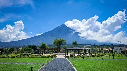 WhatsApp Image 2026-02-14 at 11.18.34 AM