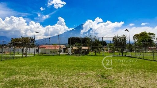 WhatsApp Image 2026-02-14 at 11.18.58 AM