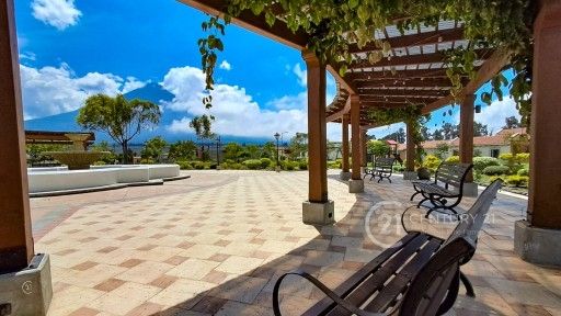 WhatsApp Image 2026-02-14 at 11.18.58 AM (3)