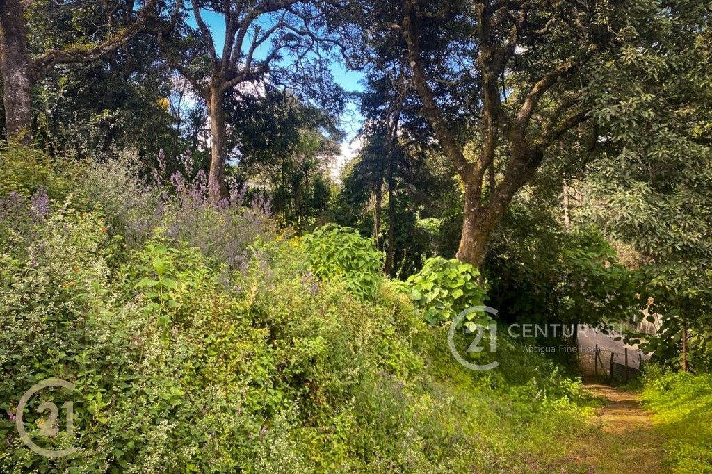 WhatsApp Image 2026-02-21 at 3.36.11 PM