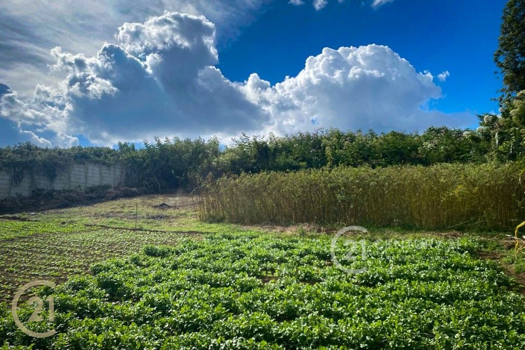 WhatsApp Image 2026-02-21 at 3.36.14 PM