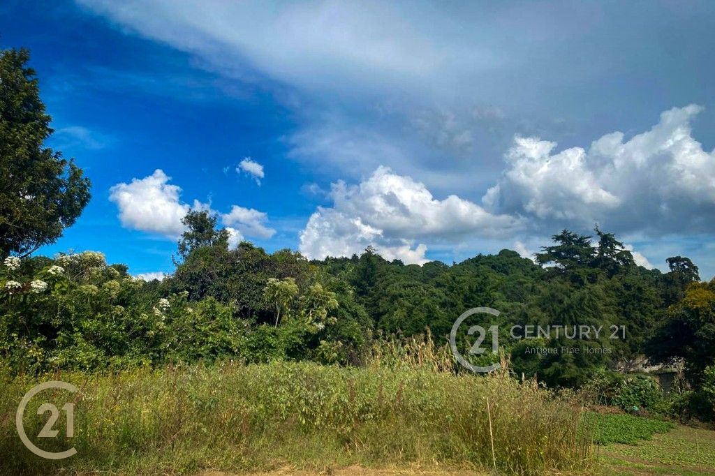 Spacious Development Lot with Private Well and Utilities – Ideal for a Custom Estate or Builder Investment