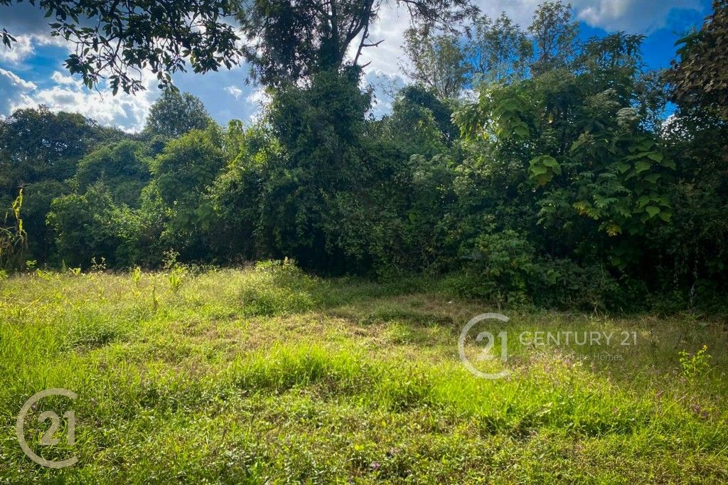 WhatsApp Image 2026-02-21 at 3.36.15 PM