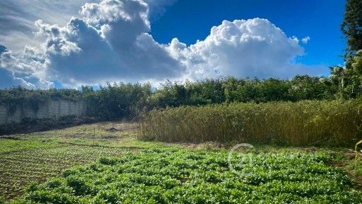 WhatsApp Image 2026-02-21 at 3.36.14 PM