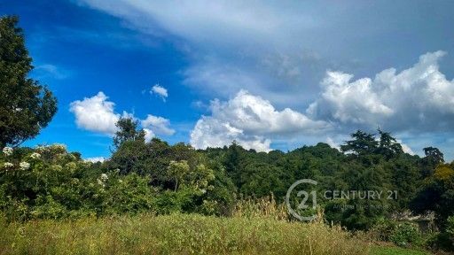 WhatsApp Image 2026-02-21 at 3.36.14 PM (1)