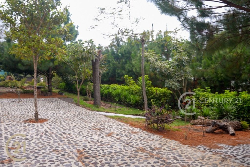 C0590.MP4.10_06_33_20.Still001