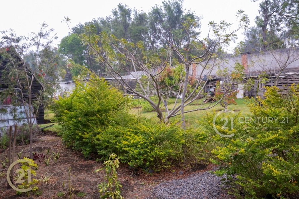 C0591.MP4.10_06_54_16.Still001