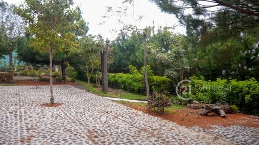 C0590.MP4.10_06_33_20.Still001