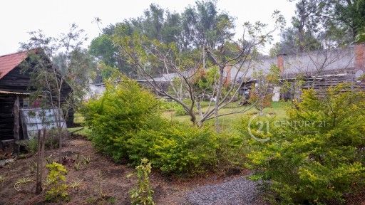 C0591.MP4.10_06_54_16.Still001