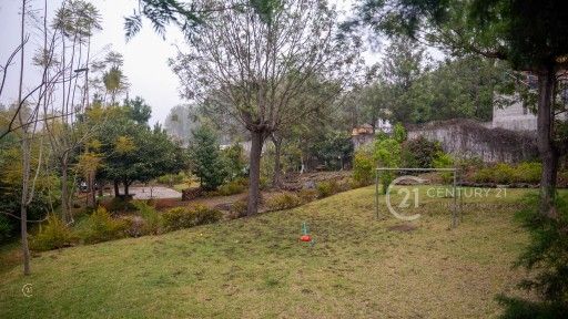 C0593.MP4.10_09_24_11.Still001