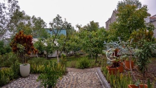 C0604.MP4.10_21_34_21.Still001