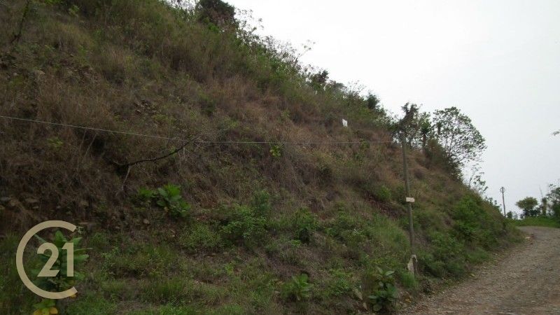 Large lake view lot for sale in San Marcos La Laguna