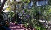 IMG_0177